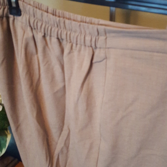 Woman's petite slacks 22/24WP - Picture 2 of 4